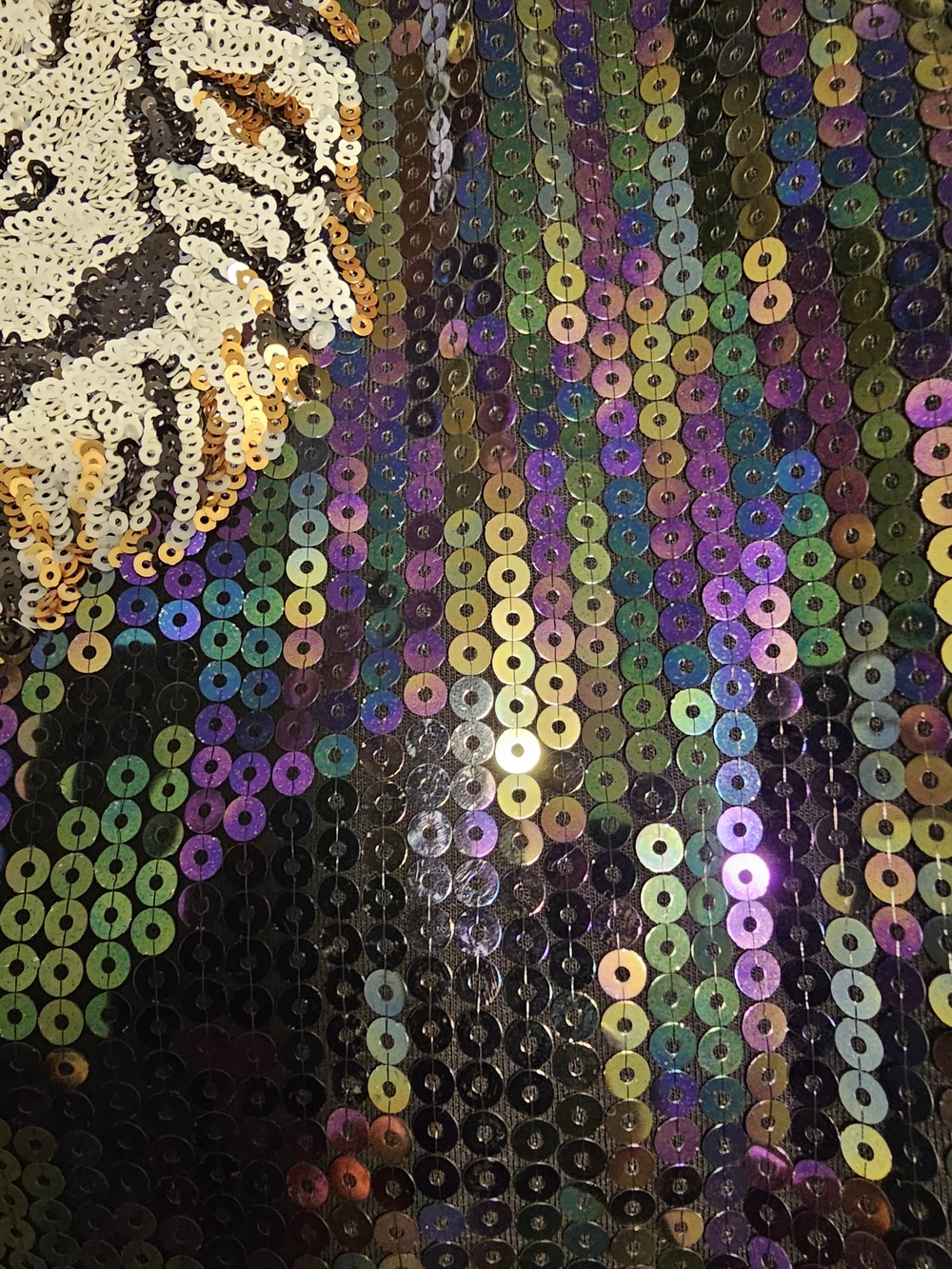 Queen Of Sparkles sequin Tiger Graphic Mini Dress in Black - Picture 2 of 5